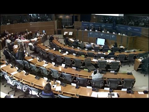 Evelien Van Den Brink&#039;s speech in the European Parliament