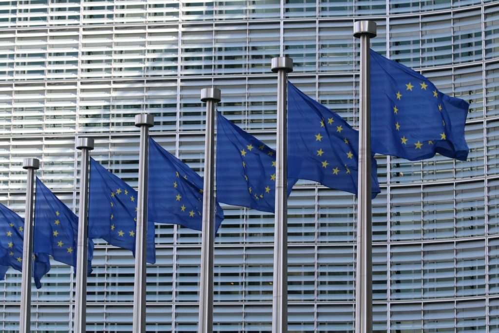 European flags. The EU Commission proposes to address under-investigated conditions like ME/CFS in the first work programme of Horizon Europe. 