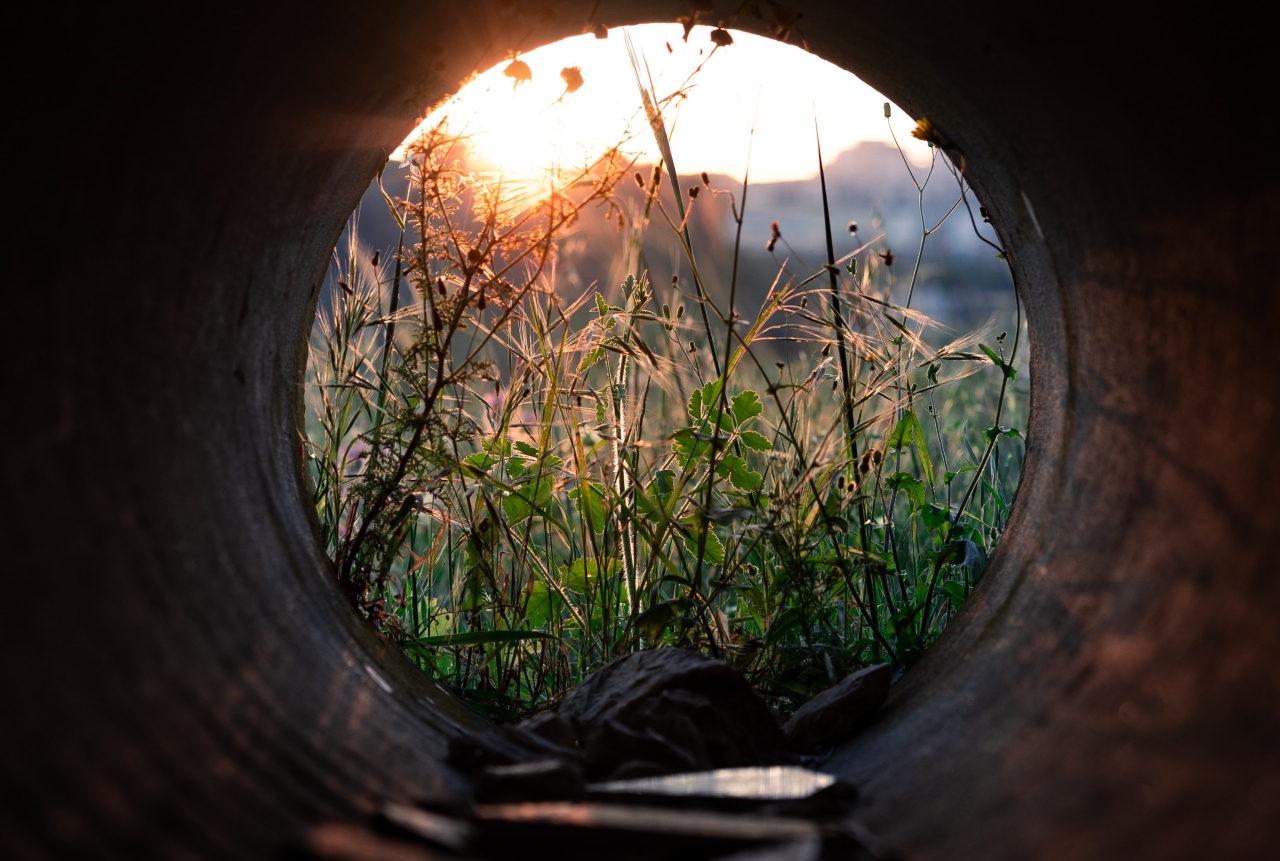 The scoping study has been published • European ME Coalition